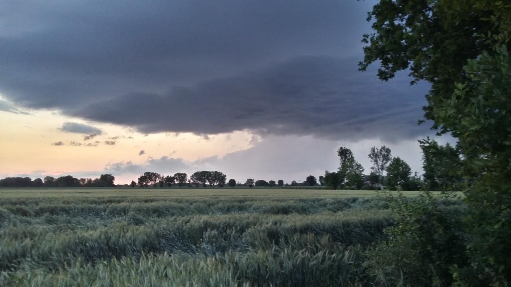 Agriturismo Boschi Reggiolo Luaran gambar