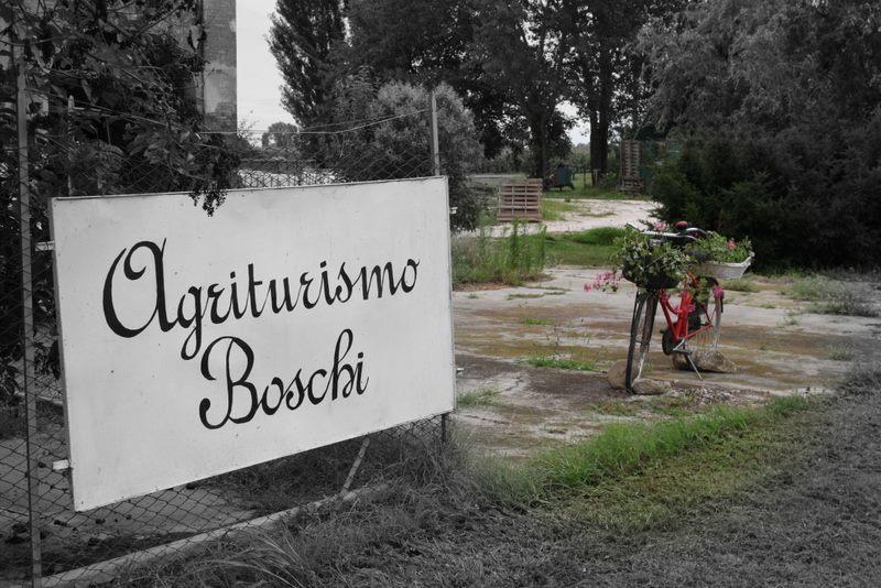 Agriturismo Boschi Reggiolo Luaran gambar
