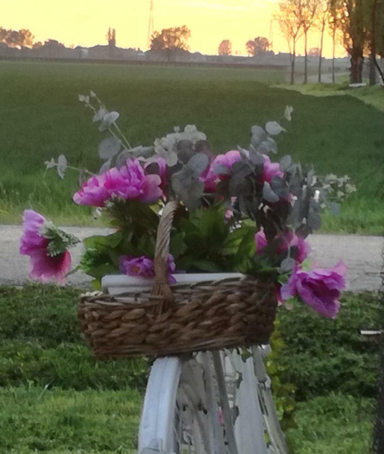 Agriturismo Boschi Reggiolo Luaran gambar