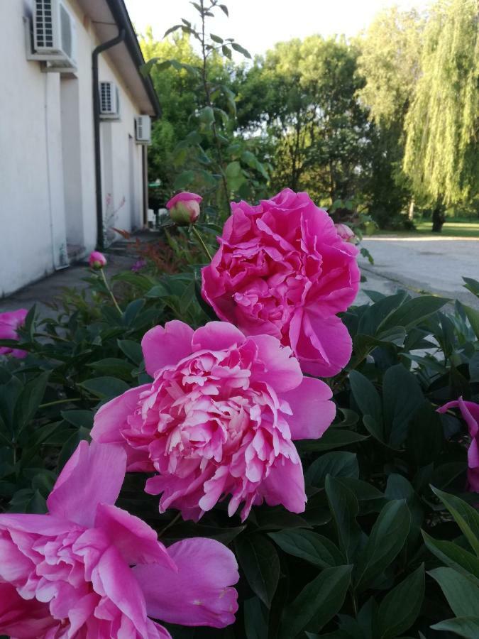 Agriturismo Boschi Reggiolo Luaran gambar